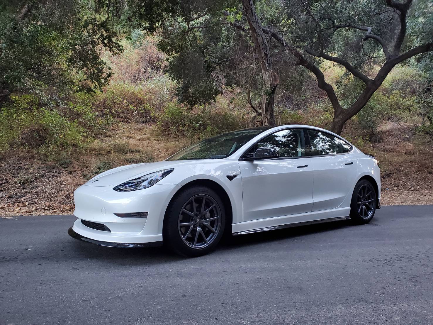 Carbon Fiber Side Skirts For Tesla Model 3 - Maier Electric Vehicles